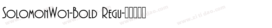 SolomonW01-Bold Regu字体转换